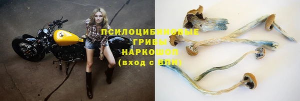 мяу мяу мука Абаза